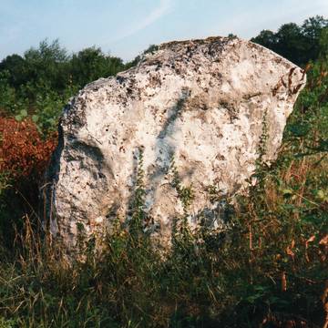 Menhir de la Grande Borne à Coulmier-le-Sec